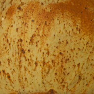 terracottastein