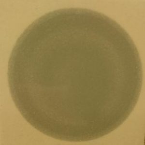 neutralgrau